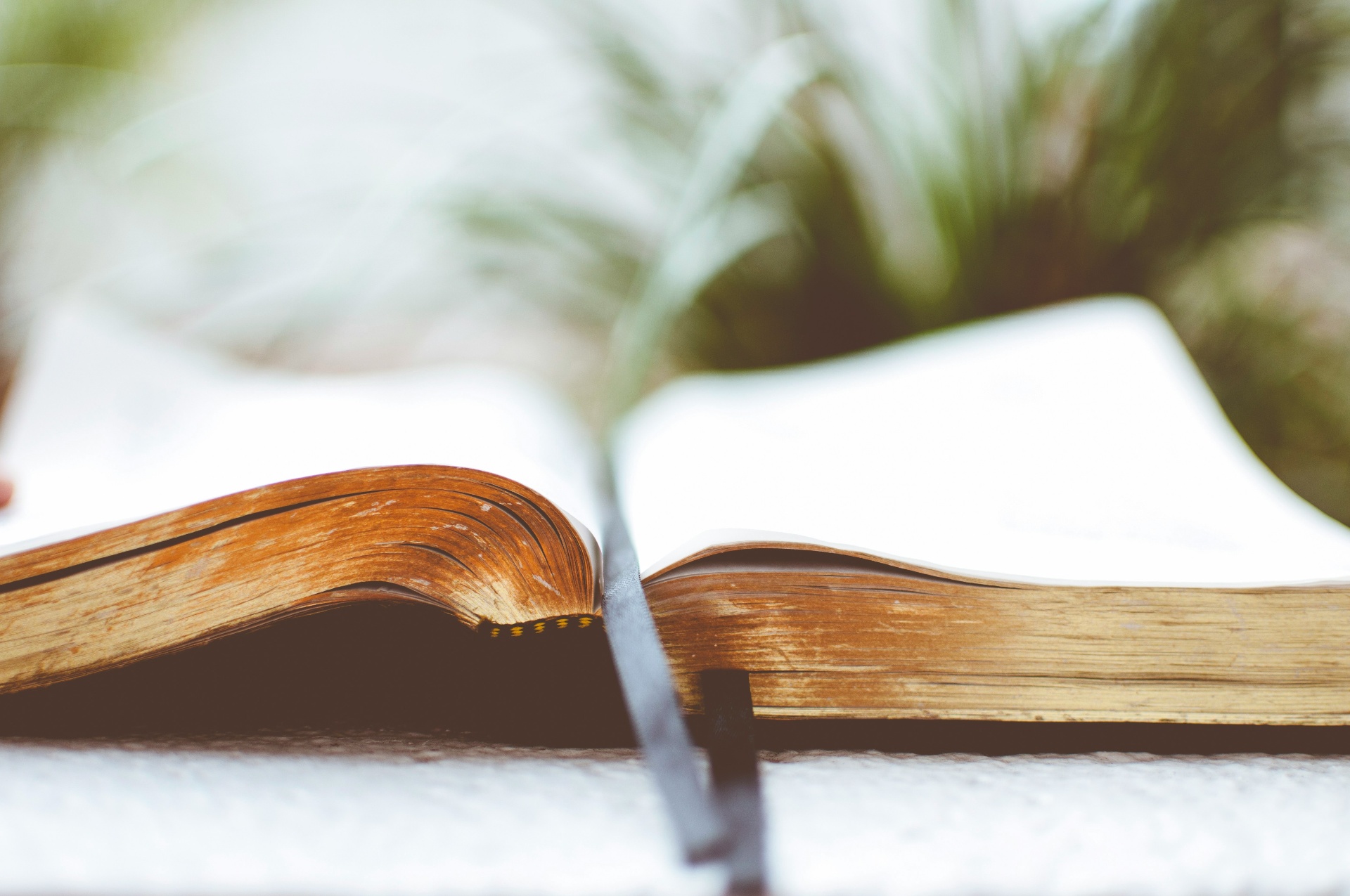 An open Bible resting on a table — Scripture as the foundation for biblical business principles.